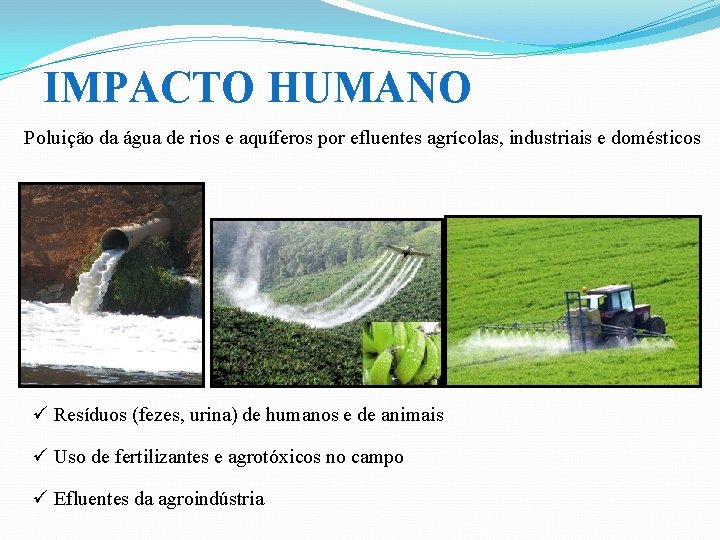 IMPACTO HUMANO Poluição da água de rios e aquíferos por efluentes agrícolas, industriais e