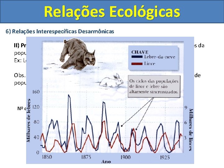 Relações Ecológicas 6) Relações Interespecíficas Desarmônicas II) Predatismo: Ocorre quando organismo predadores matam indivíduos