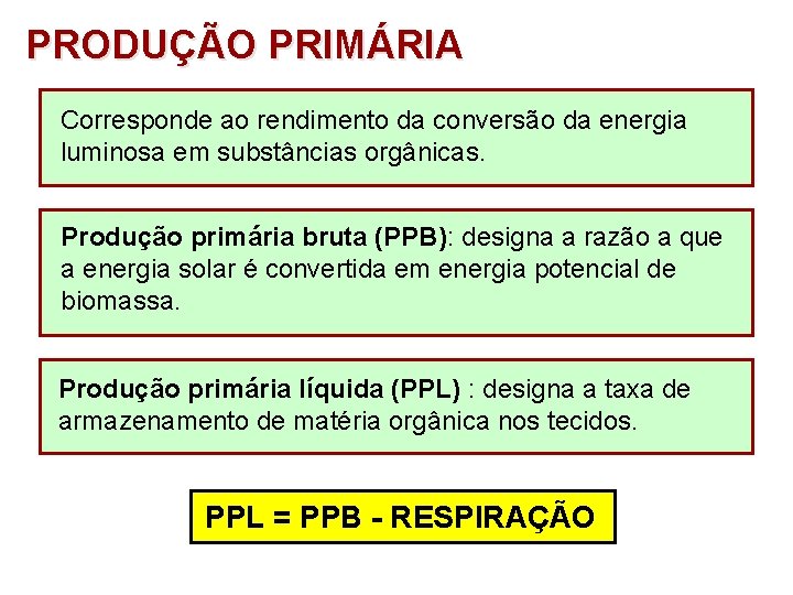 PRODUÇÃO PRIMÁRIA Corresponde ao rendimento da conversão da energia luminosa em substâncias orgânicas. Produção