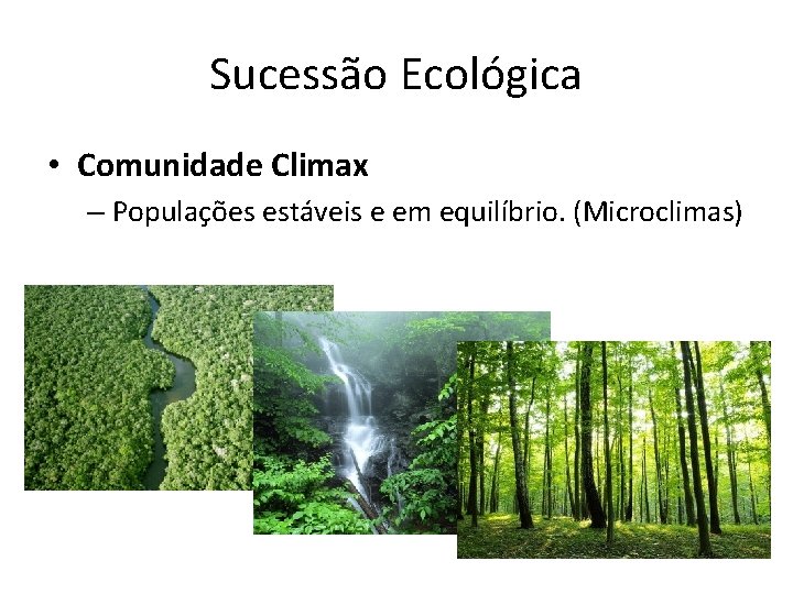 Sucessão Ecológica • Comunidade Climax – Populações estáveis e em equilíbrio. (Microclimas) 