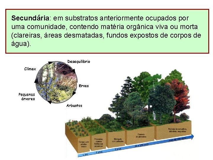 Secundária: em substratos anteriormente ocupados por uma comunidade, contendo matéria orgânica viva ou morta