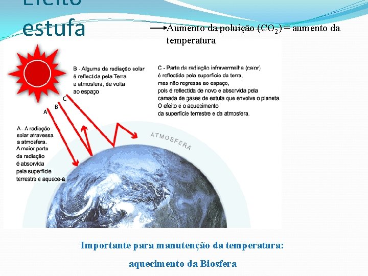 Efeito estufa Aumento da poluição (CO 2) = aumento da temperatura Importante para manutenção