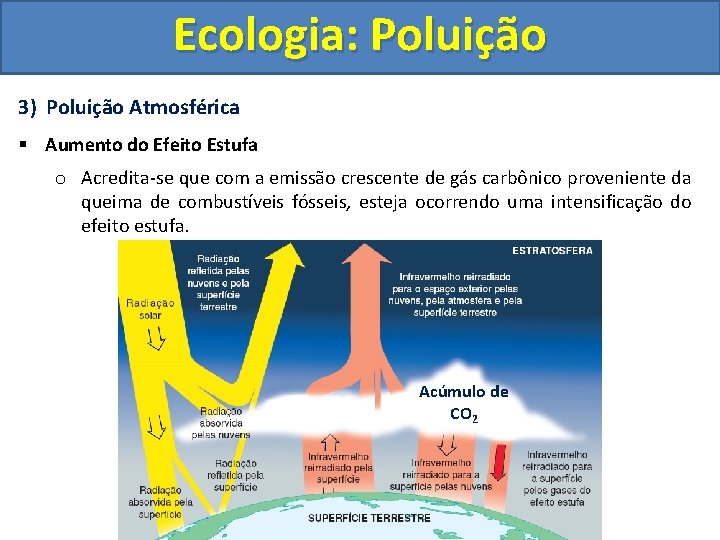 Ecologia: Poluição 3) Poluição Atmosférica § Aumento do Efeito Estufa o Acredita-se que com
