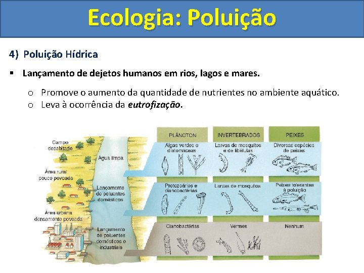 Ecologia: Poluição 4) Poluição Hídrica § Lançamento de dejetos humanos em rios, lagos e