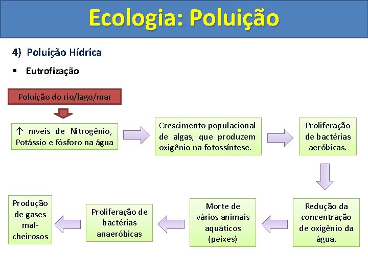 Ecologia: Poluição 4) Poluição Hídrica § Eutrofização Poluição do rio/lago/mar ↑ níveis de Nitrogênio,