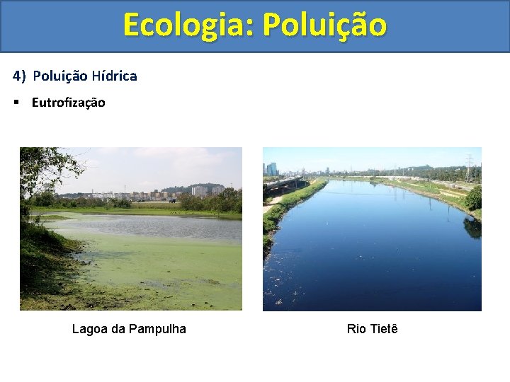 Ecologia: Poluição 4) Poluição Hídrica § Eutrofização Lagoa da Pampulha Rio Tietê 