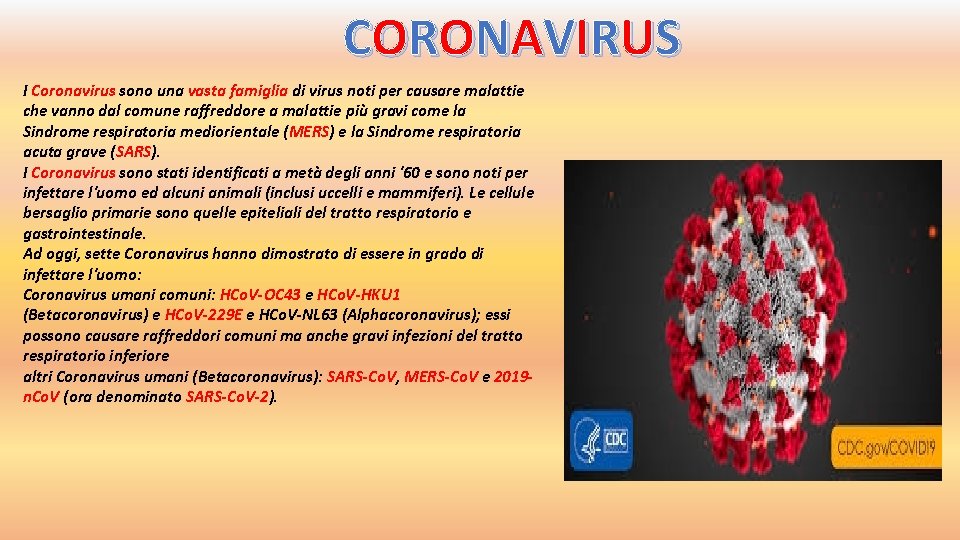 COR ON A VI R U S I Coronavirus sono una vasta famiglia di