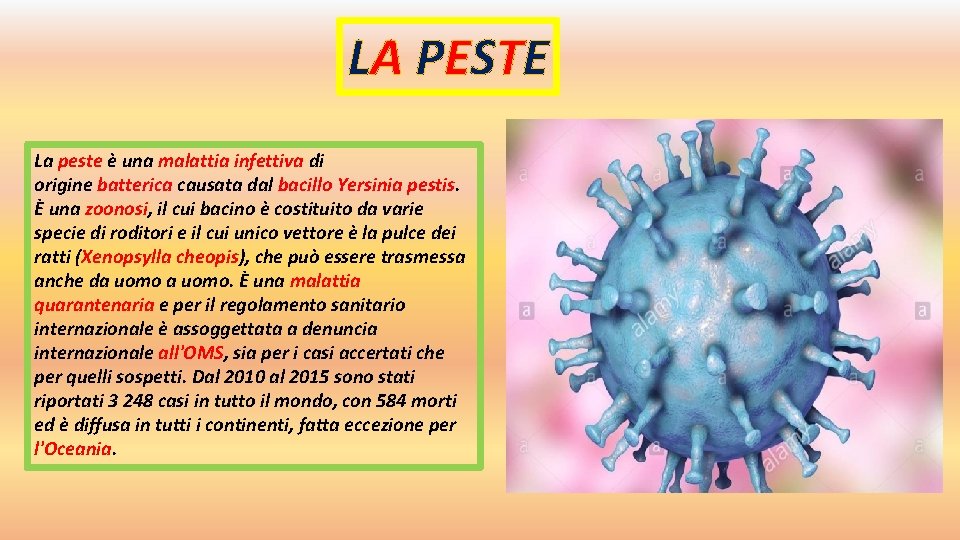 LA PESTE La peste è una malattia infettiva di origine batterica causata dal bacillo