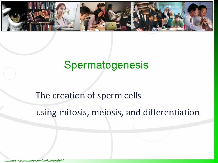 Spermatogenesis The creation of sperm cells using mitosis, meiosis, and differentiation http: //www. classjump.