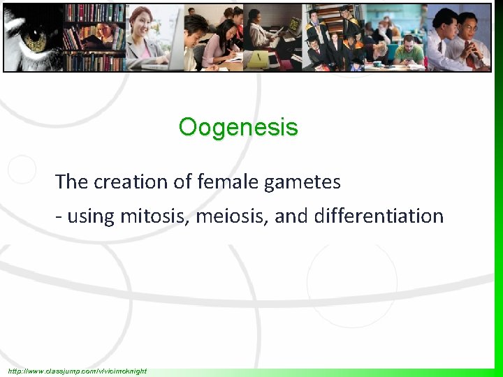 Oogenesis The creation of female gametes - using mitosis, meiosis, and differentiation http: //www.
