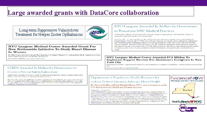 Large awarded grants with Data. Core collaboration Long-term Suppressive Valacyclovir Treatment for Herpes Zoster