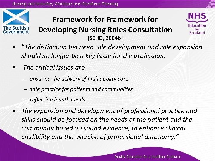 Nursing and Midwifery Workload and Workforce Planning Framework for Developing Nursing Roles Consultation (SEHD,