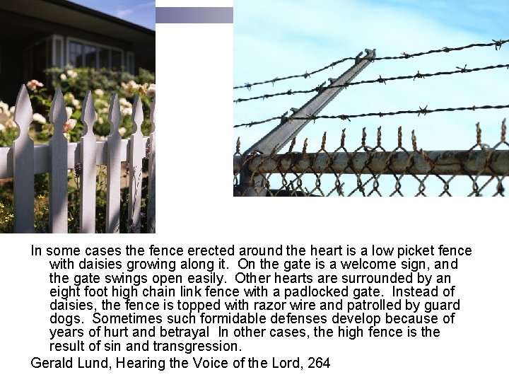 In some cases the fence erected around the heart is a low picket fence
