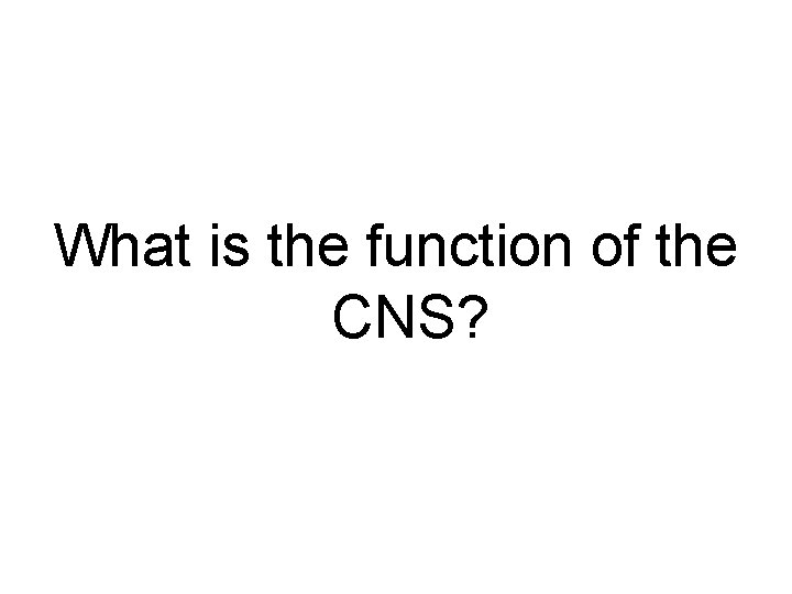 What is the function of the CNS? 