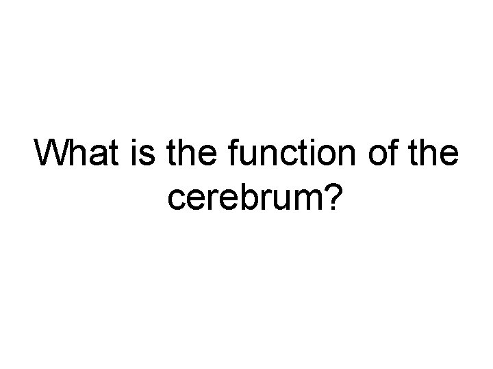 What is the function of the cerebrum? 
