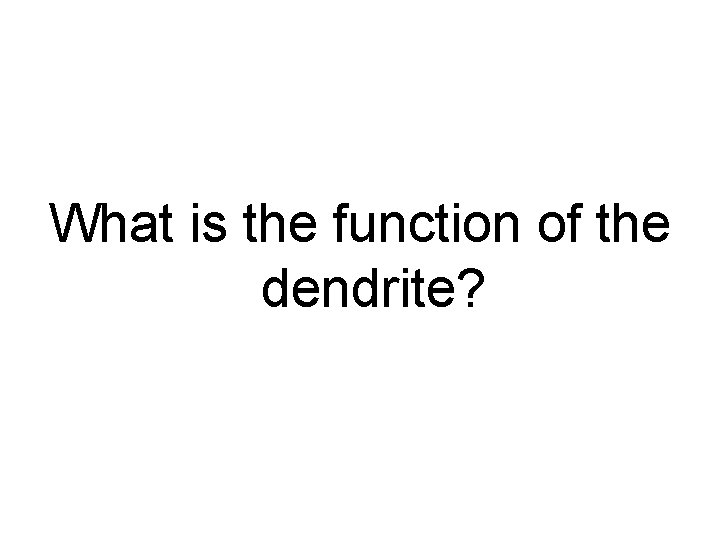 What is the function of the dendrite? 