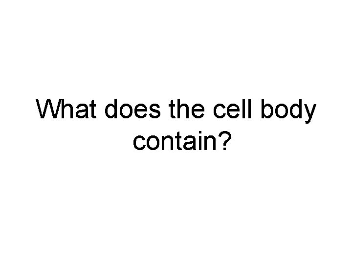 What does the cell body contain? 
