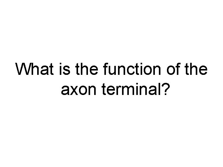 What is the function of the axon terminal? 