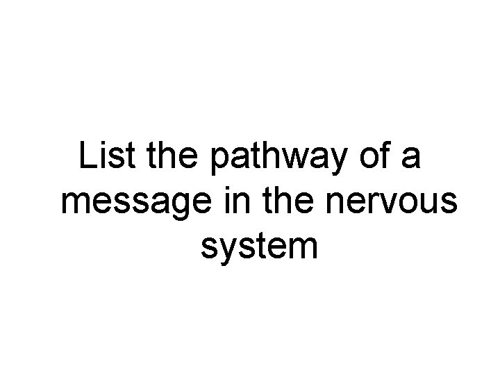 List the pathway of a message in the nervous system 