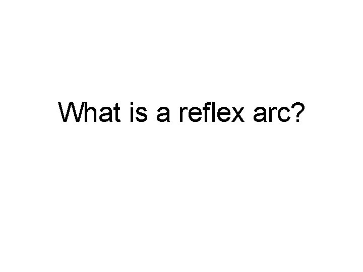 What is a reflex arc? 