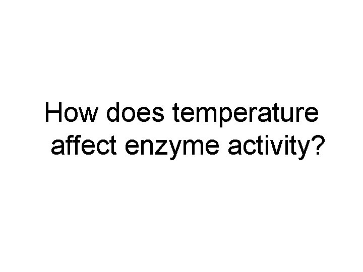 How does temperature affect enzyme activity? 