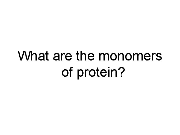 What are the monomers of protein? 