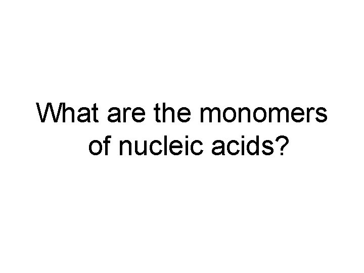 What are the monomers of nucleic acids? 