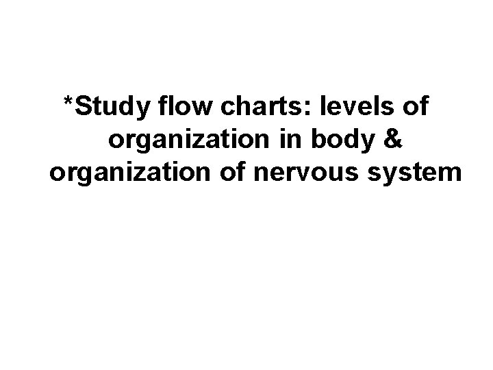 *Study flow charts: levels of organization in body & organization of nervous system 