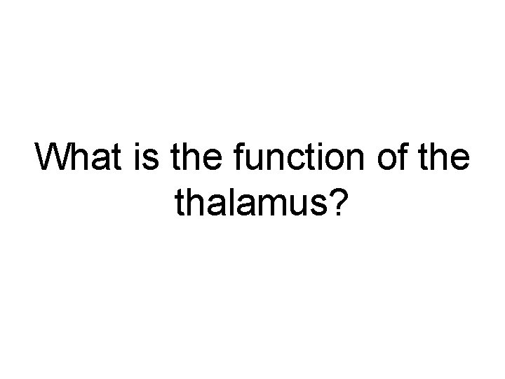 What is the function of the thalamus? 
