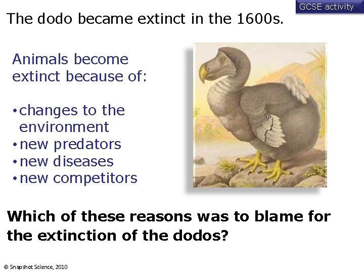 The dodo became extinct in the 1600 s. GCSE activity Animals become extinct because
