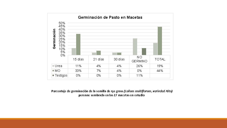 Germinación de Pasto en Macetas 50% 45% 40% 35% 30% 25% 20% 15% 10%