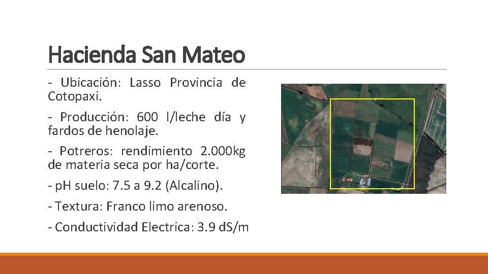 Hacienda San Mateo - Ubicación: Lasso Provincia de Cotopaxi. - Producción: 600 l/leche día