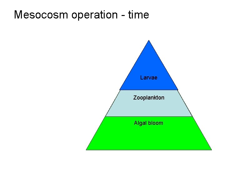 Mesocosm operation - time Larvae Zooplankton Algal Water bloom 