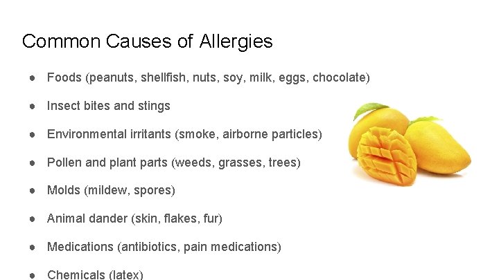 Common Causes of Allergies ● Foods (peanuts, shellfish, nuts, soy, milk, eggs, chocolate) ●