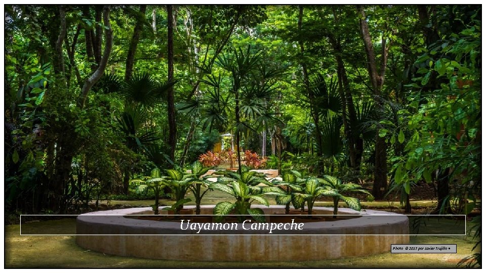 Uayamon Campeche Photo © 2017 por Javier Trujillo • 