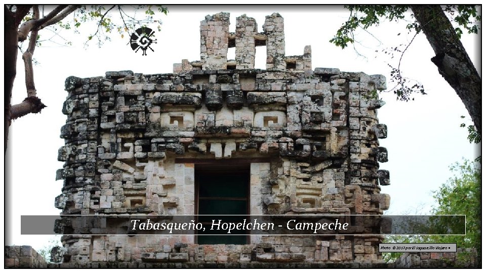 Tabasqueño, Hopelchen - Campeche Photo © 2017 por El Jaguarcillo Viajero • 