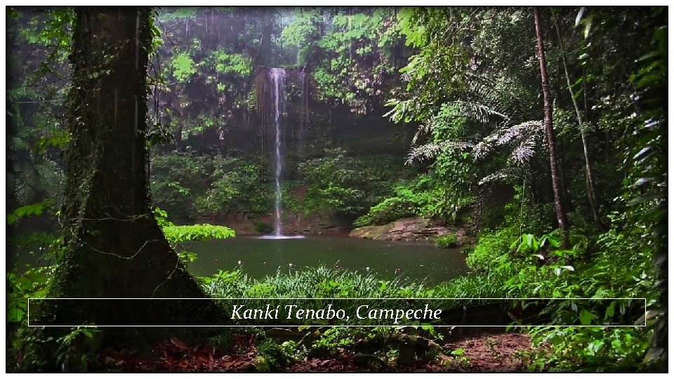 Kankí Tenabo, Campeche 