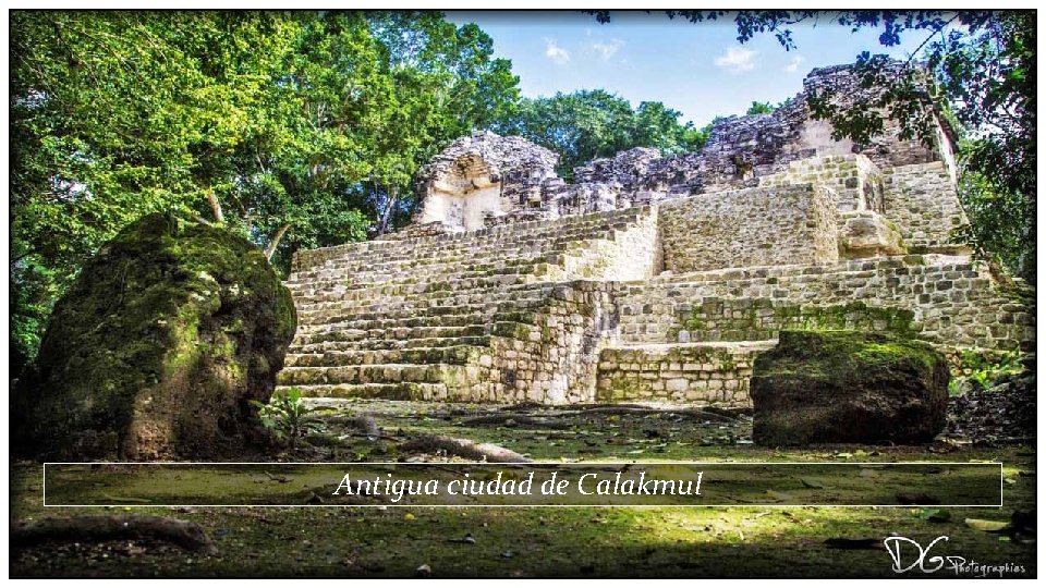 Antigua ciudad de Calakmul 