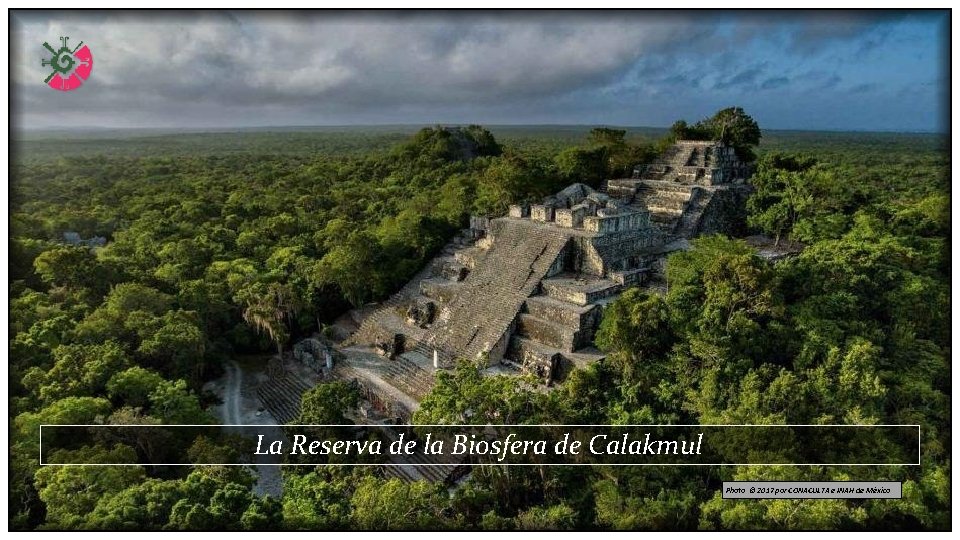 La Reserva de la Biosfera de Calakmul Photo © 2017 por CONACULTA e INAH