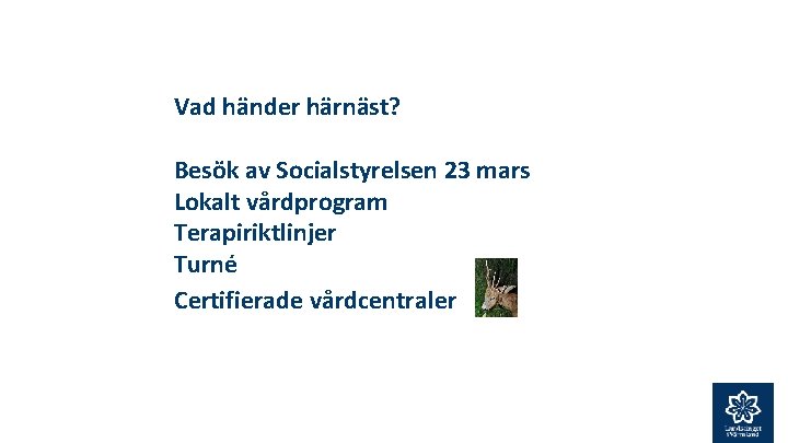 Vad händer härnäst? Besök av Socialstyrelsen 23 mars Lokalt vårdprogram Terapiriktlinjer Turné Certifierade vårdcentraler