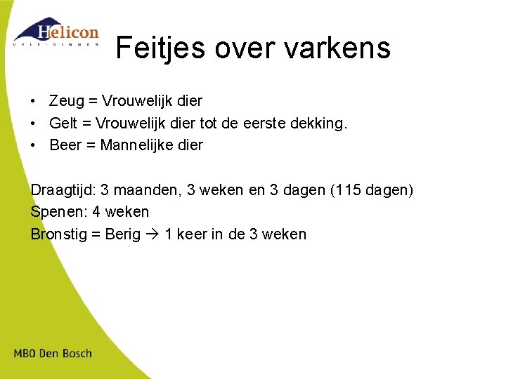 Feitjes over varkens • Zeug = Vrouwelijk dier • Gelt = Vrouwelijk dier tot