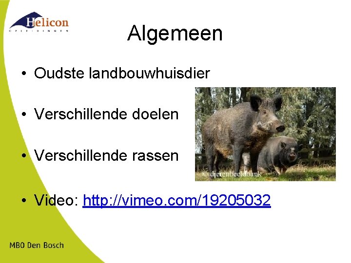 Algemeen • Oudste landbouwhuisdier • Verschillende doelen • Verschillende rassen • Video: http: //vimeo.