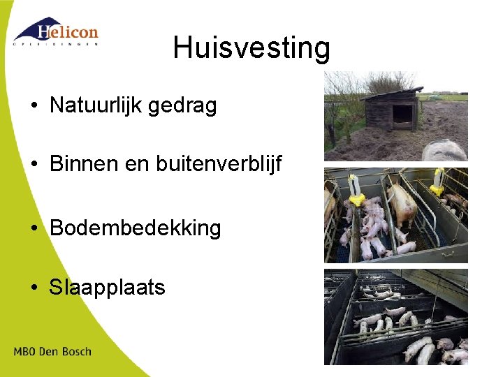 Huisvesting • Natuurlijk gedrag • Binnen en buitenverblijf • Bodembedekking • Slaapplaats 