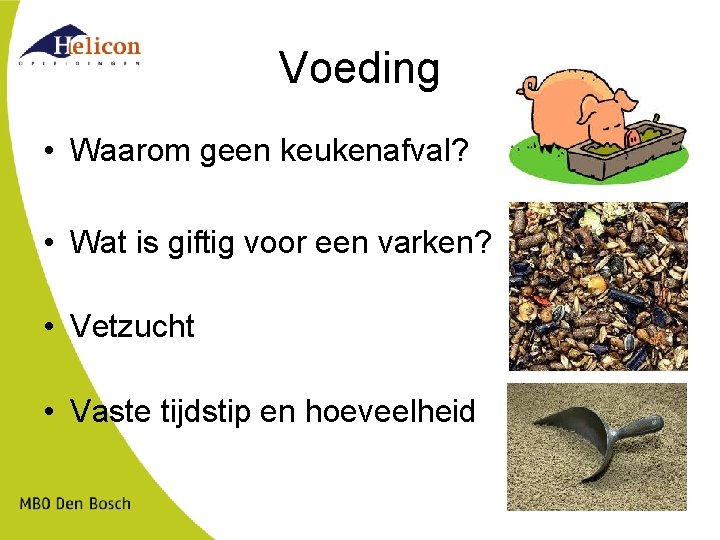 Voeding • Waarom geen keukenafval? • Wat is giftig voor een varken? • Vetzucht