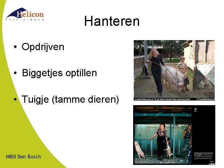 Hanteren • Opdrijven • Biggetjes optillen • Tuigje (tamme dieren) 