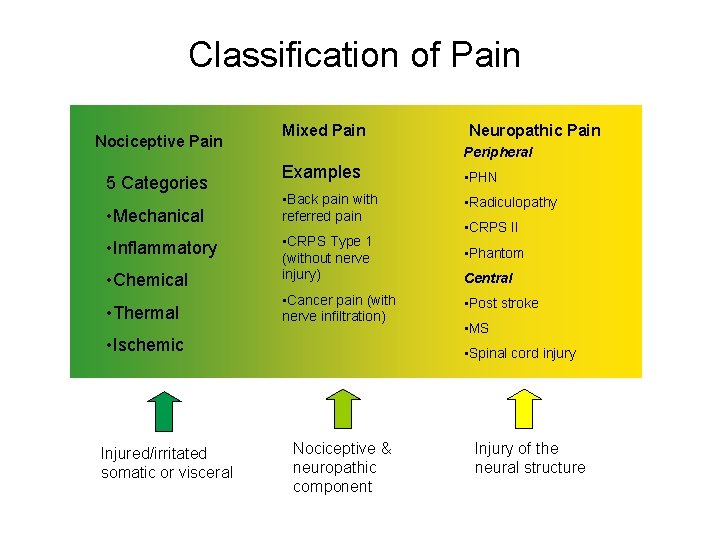 Classification of Pain Nociceptive Pain 5 Categories • Mechanical • Inflammatory • Chemical • Classification of Pain Nociceptive Pain 5 Categories • Mechanical • Inflammatory • Chemical •