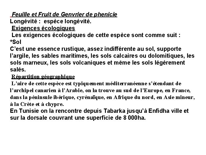 Feuille et Fruit de Genvrier de phenicie Longévité : espèce longévité. Exigences écologiques Les