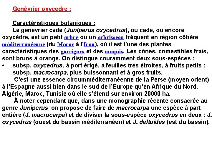 Genévrier oxycedre : Caractéristiques botaniques ; Le genévrier cade (Juniperus oxycedrus), ou cade, ou