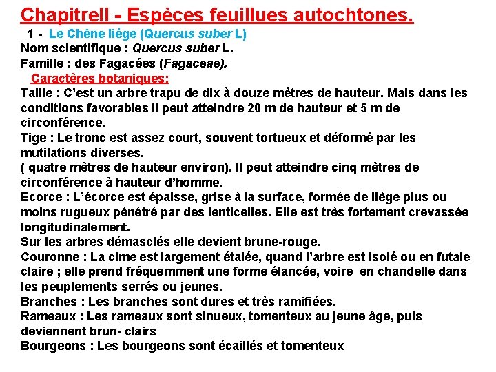 Chapitre. II - Espèces feuillues autochtones. 1 - Le Chêne liège (Quercus suber L)