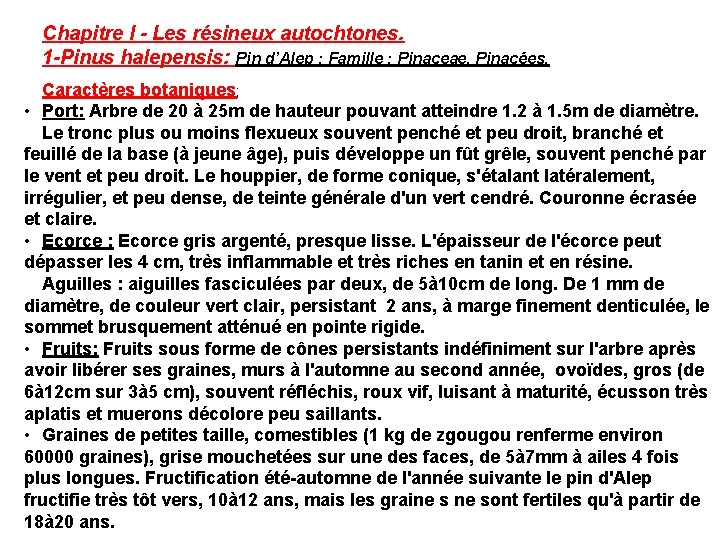 Chapitre I - Les résineux autochtones. 1 -Pinus halepensis: Pin d’Alep : Famille :